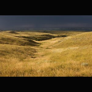 Lake McConaughy